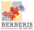 Logo Systemu Berberis