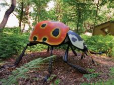 Stań oko w oko z gigantycznym szerszeniem – świat owadów na wyciągnięcie ręki w Porcie Łódź