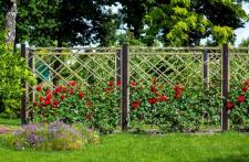 Rodzaje podpór dla roślin: drewniane, metalowe i kompozytowe Rodzaje podpór dla roślin: drewniane, metalowe i kompozytowe