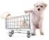 Internetowy sklep zoologiczny: Łatwy sposób na zakupy dla zwierząt domowych