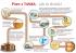 Świat Piwa_infografika