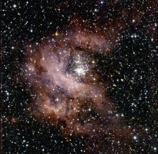 Rentgenowskie zdjęcie gromady pełnej masywnych gwiazd