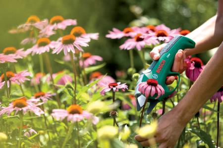 Nożyce akumulatorowe Ciso służą do pielęgnacji kwiatów, krzewów, drzew owocowych - fot.Bosch