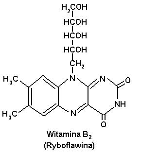 Witamina B2 (Ryboflawina)