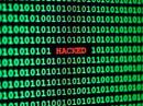 „Hakerzy” współpracujący z CBA zhakowani!
