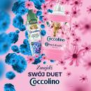 Znajdź swój duet Coccolino! Weź udział w wydarzeniach w Krakowie i Warszawie! Znajdź swój duet Coccolino! Weź udział w wydarzeniach w Krakowie i Warszawie!