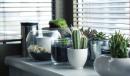 Plisy okienne funkcjonalnym i dekoracyjnym rozwiązaniem dla Twojego domu