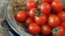 Do czego możesz wykorzystać koncentrat pomidorowy? TOP 4