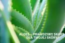 Aloes – prawdziwy skarb dla Twojej skóry