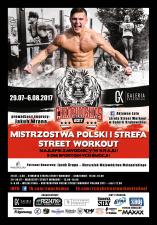 Mistrzostwa Polski Street Workout
