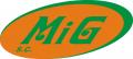 logo: Sklep z bielizna w Katowicach - MiG
