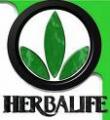 logo: Herbalife - Odchudzanie, Skuteczna dieta, Produkty na odchudzanie