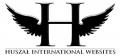 logo: Hi-Websiets - tworzenie stron internetowych