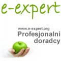 logo: E-EXPERT 