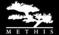 logo: Methis - farby proszkowe, farby mokre