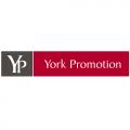 logo: Makiety architektoniczne-York Promotion