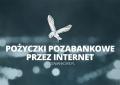 logo: PPozabankowe.pl