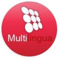 logo: Multilingua - Szkoła Języków Obcych