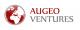 Augeo Ventures - Doradztwo i Konsulting