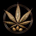 logo: Ziarno Życia Nasiona Marihuany