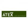 logo: Atex137.pl - inwentaryzacja instalacji procesowych