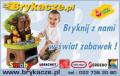 logo: Brykacze.pl Kreatywne zabawki dla dzieci