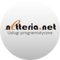 logo: netteria.net - Projektowanie oprogramowania i stron www na zamówienie