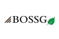 logo: BOSSG Data Security