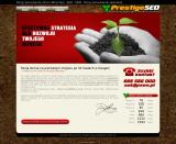 Pozycjonowanie Wrocław - Prestige SEO
