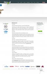 Agencja Marketingu Internetowego THEY.PL