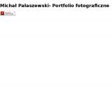 Michael Pałaszewski Portfolio 