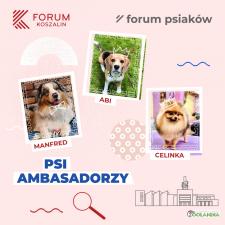 Forum Koszalin z psimi ambasadorami
