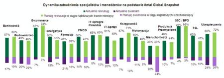 Dynamika zatrudnienia specjalistów i menedżerów na podstawie Antal Global Snapshot