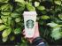 Starbucks świętuje Dzień Ziemi niemarnowaniem zasobów przez cały rok!