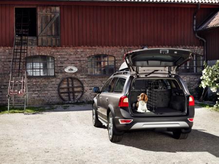 Jak bezpiecznie podróżować samochodem z psem – poradnik Volvo