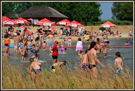 Jurajska plaża w Krasiejowie