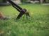 Łatwo, szybko i ekologicznie – usuwanie chwastów z trawnika przy pomocy wyrywacza Fiskars