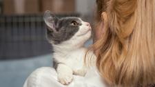 Weekend Adopcji Mars i TOZ – adopcja zwierzaka może zmienić dwa życia