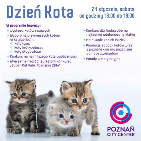 dzień kota