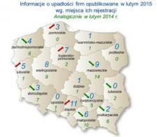 W lutym sądy opublikowały informacje o upadłości 60 polskich przedsiębiorstw