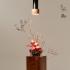 illu_ around light_pierwsze urodziny_materiały prasowe (5)