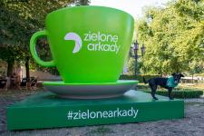 Setki zdjęć z wielkimi zielonymi figurami w Bydgoszczy. Sukces akcji „Przed nami coś zielonego”