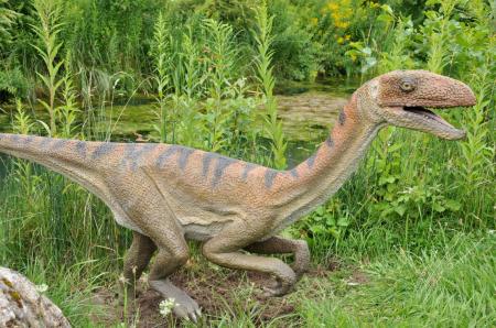 Silesaur z Krasiejowa mocno namieszał w systematyce dinozauró