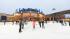Aktywne ferie na lodowisku przed Silesia City Center