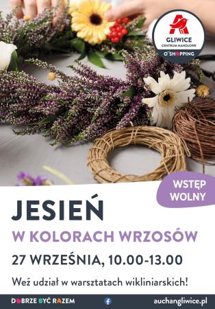 zdjecie