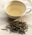 Biała herbata – eliksir młodości
