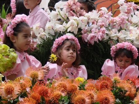 Madeira Flower Festival, fot. Madeira Islands Tourism