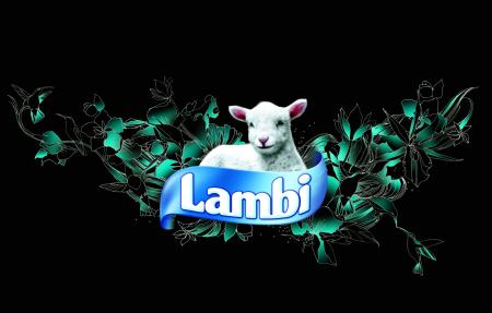 Lambi Limited Collection