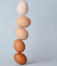 Kosmetyki z jajem – dosłownie i w przenośni