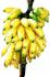 Banany dla zdrowia i urody